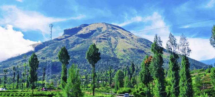 米亚尔扎法小屋(Miarzafa cabin house)图片