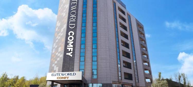 迪亚巴克尔Elite World Comfy酒店(Elite World Comfy Diyarbakır)图片