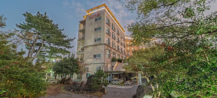 Ihopony Hotel jeju图片
