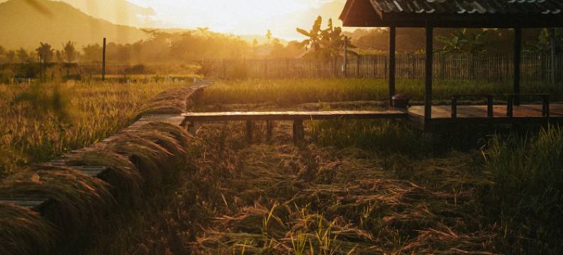 Yidan’s Permaculture Farm stay图片