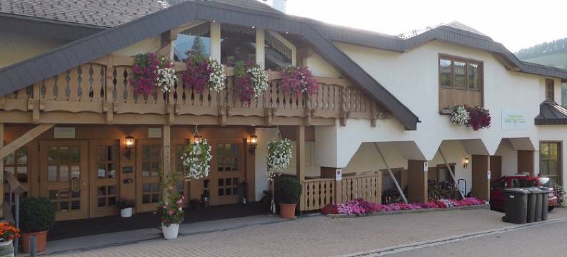 托特瑙山活酒店(Bergvital Hotel Todtnau)图片