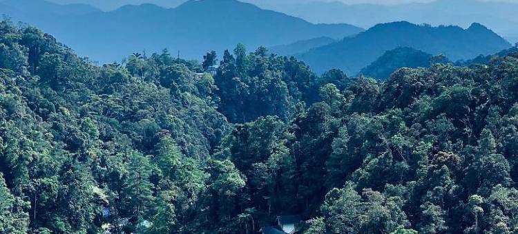 Habitat A232 (4pax), Silverpark, Fraser's Hill图片