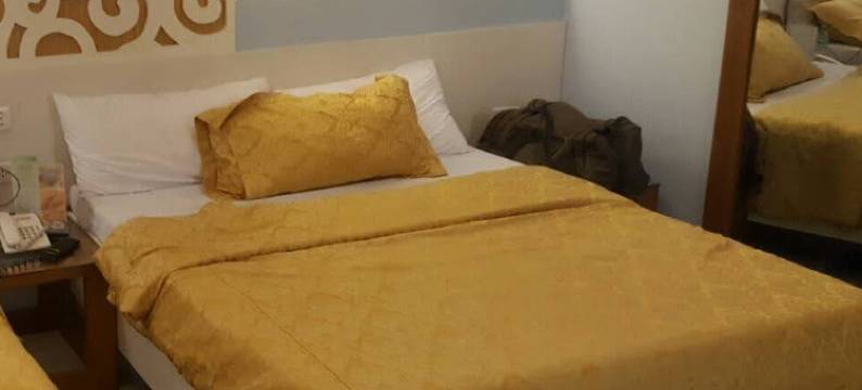 Mt.Fuji Homestay Leoya图片