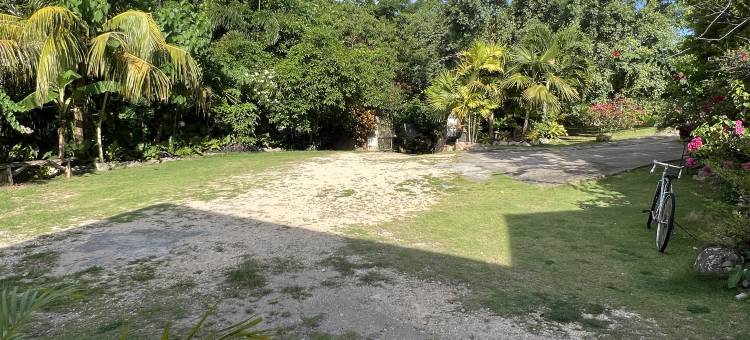 Sequor Palm Villa图片