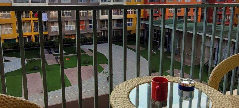 No Fixed Address图片