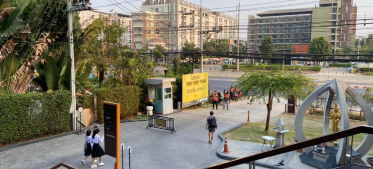 Teddy@Thammasart图片