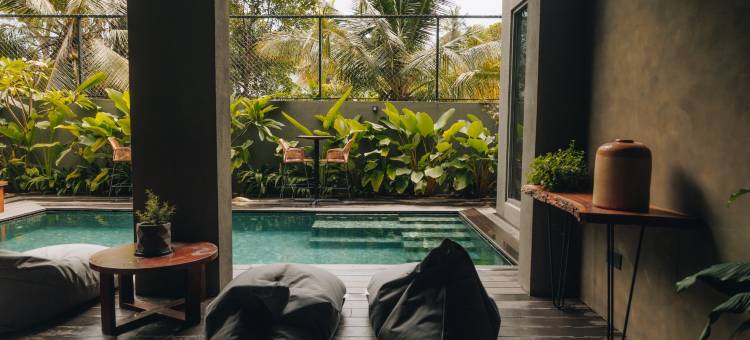 波希米亚巢穴(Bohemian Nest)图片