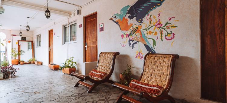 瑟琳娜瓦哈卡酒店(Selina Oaxaca)图片