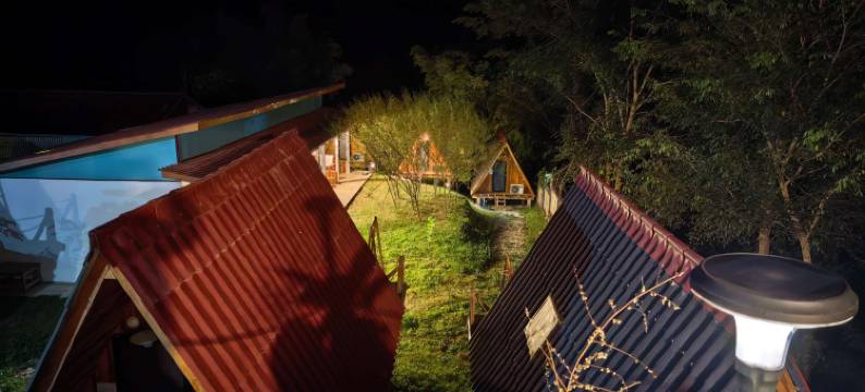 Mimosa Backpackers Hostel图片