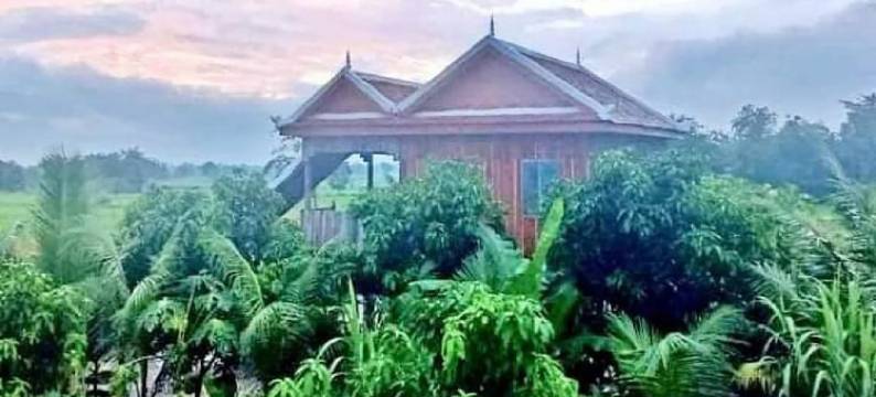 Family Batcave Homestay图片