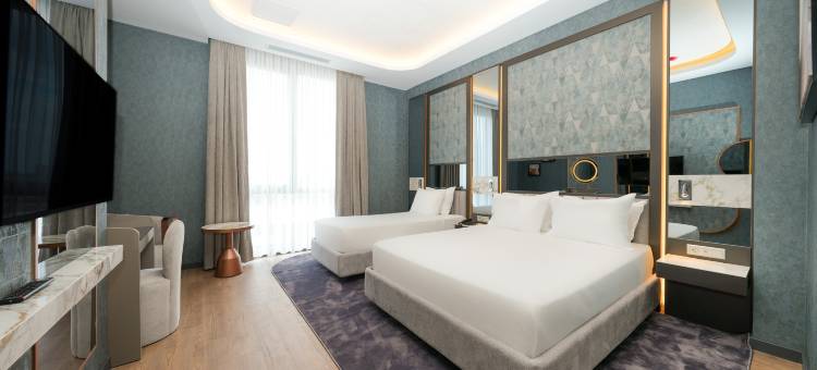 考尔陶尔德德曼公园酒店(Park Dedeman Kartal)图片