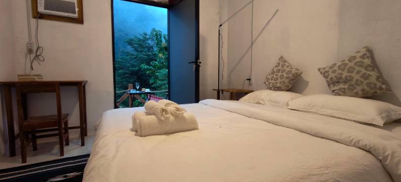 Mimosa Backpackers Hostel图片