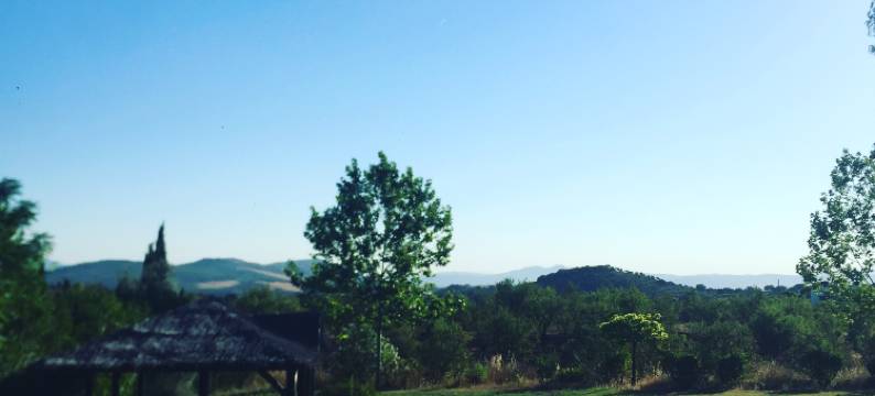 路拉尔拉帕罗马酒店(Hotel Rural La Paloma)图片