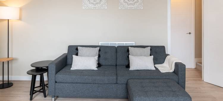 Host Stay 四分之一(Host & Stay | The Quarter)图片