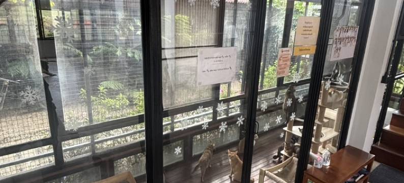 Amaze at The Myth图片