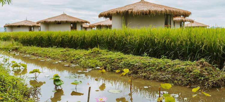 Na Bua Villa Chiangrai图片