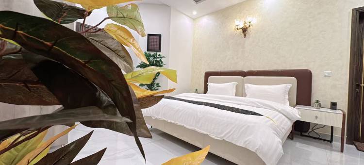 拉合尔天马伊朵华人酒店(Pakistan tianmayiduo Chinese hotel)图片