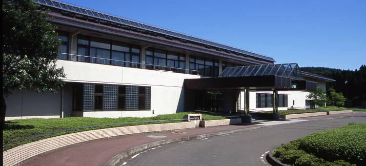 仙台岩沼泰特拉度假酒店(Hotel Tetora Resort Sendai Iwanuma)图片