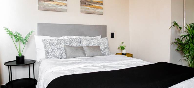 帕尔玛之家(Casa Palma)图片