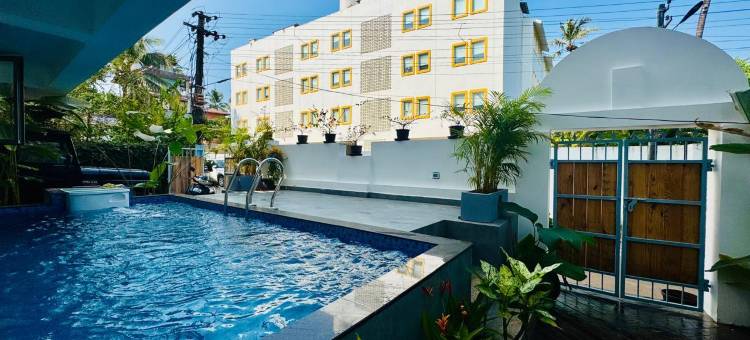 半梅拉(Mela By HALF)图片