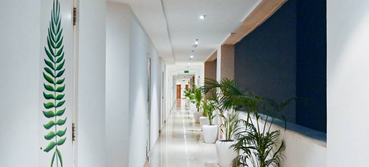 Alivaa酒店古鲁格拉姆索纳路市中心(Alivaa Hotel Gurugram Sohna Road City Center)图片