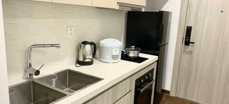 LISA HOUSE - MASTERI WEST HEIGHTS - VINHOMES SMART CITY图片