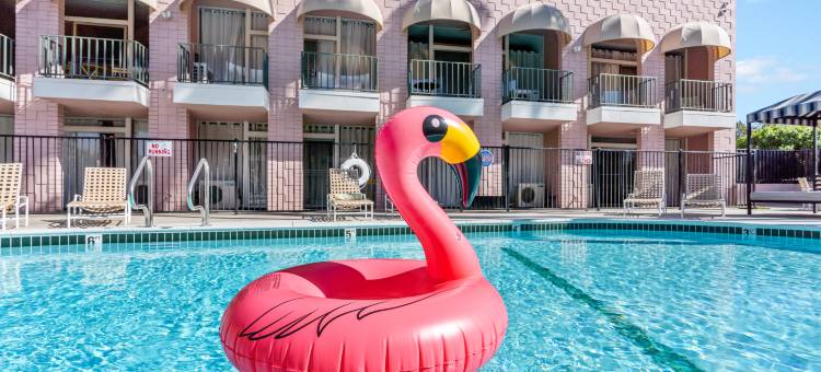 棕榈沙漠套房(Palm Desert Suites)图片