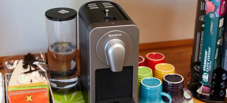 Malama Monstera In a botanical space, pls have a relaxing time.图片