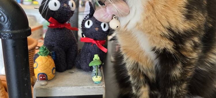 享垦丁大湾小铺图片