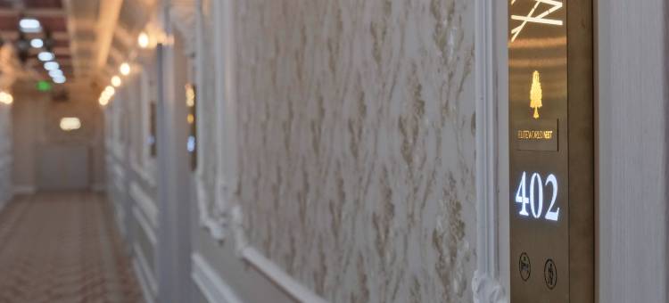 精英世界巢穴 锡瓦斯(Elite World Nest Sivas)图片