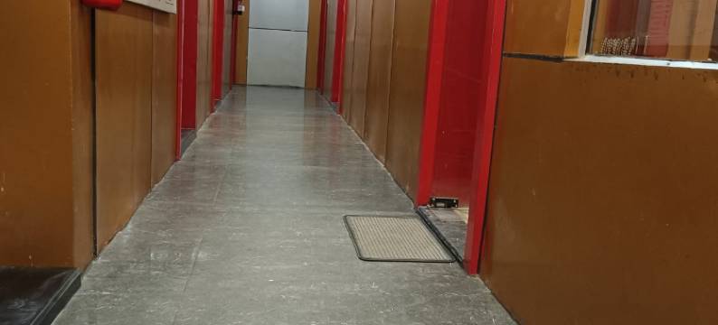 恒河希夫酒店(Shiv Ganga Hotel)图片