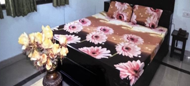 萨尔塔杰家庭旅馆(Sartaj Home Stay)图片