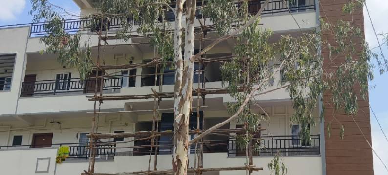 Sgr豪华住宅(SGR LUXURY HOMES)图片