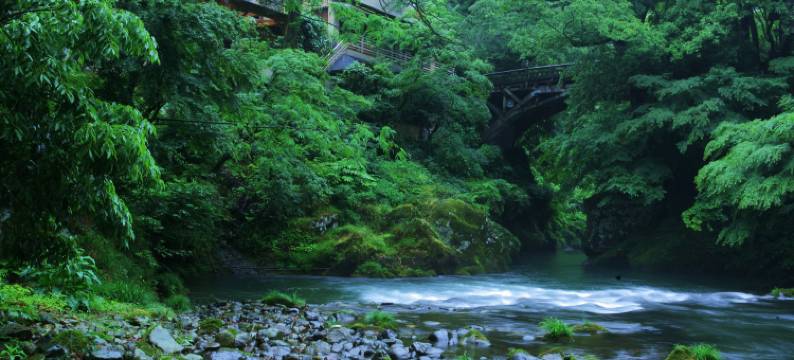 忘忧之宿蟋蟀楼(Miyakowasure no Yado Korogiro)图片