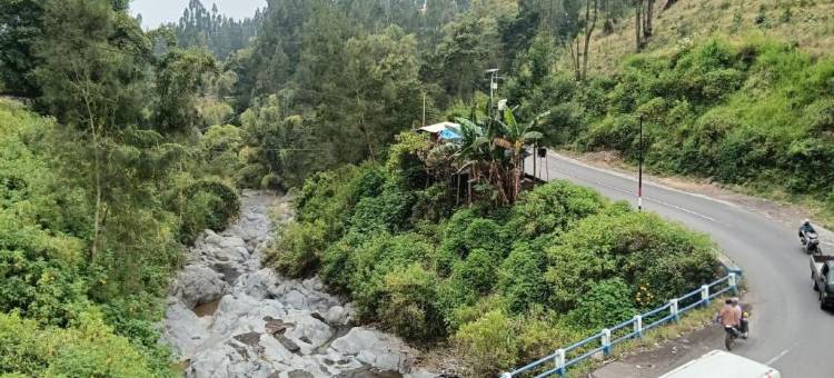 杜阿普特里家庭旅馆(Homestay Dua Putri Bromo)图片