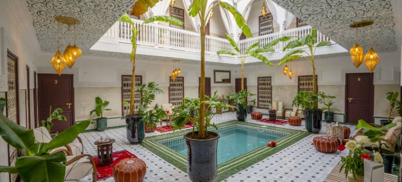 麦地那棕榈树摩洛哥传统庭院住宅(Riad les palmiers de la medina)图片