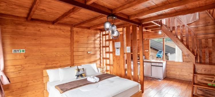 钻石小屋(Diamond Cabin House)图片