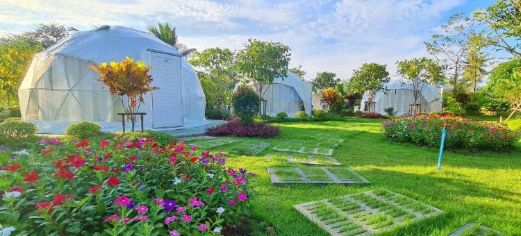 Pigoon Resort & Swimming pool图片