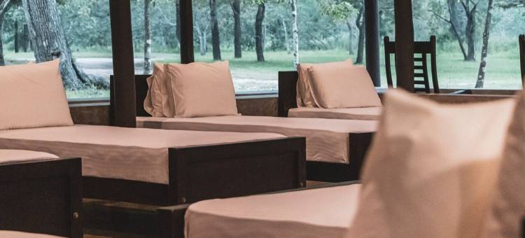 总督营地 威尔帕图(Governor's Camp Wilpattu)图片