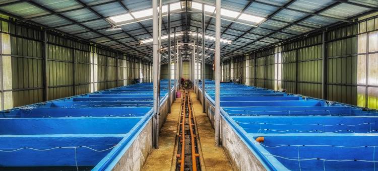 FarmKO Glamping图片