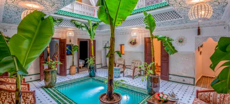 麦地那棕榈树摩洛哥传统庭院住宅(Riad les palmiers de la medina)图片