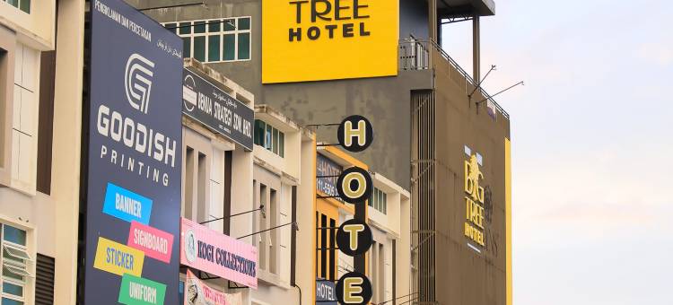 大树酒店(BIG TREE HOTEL)图片