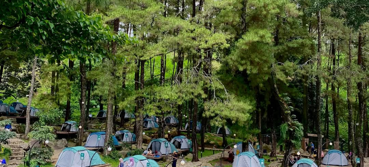 Jolotundo Glamping and Edupark图片