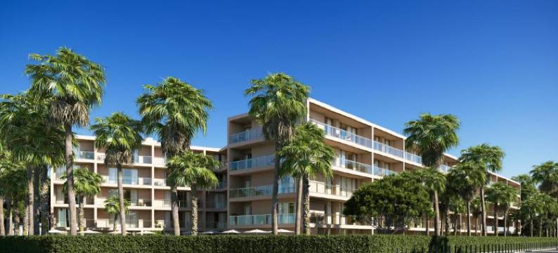 Flamingos Salgados图片