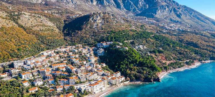 金皇冠(Golden Crown)图片