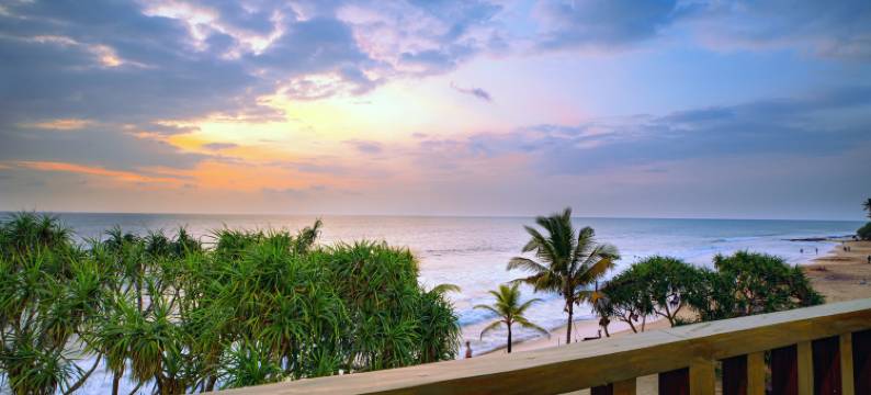 THE PLEASURE KOSGODA图片