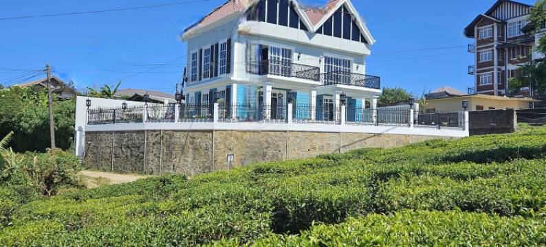 茶园私人别墅(Private Villa by the Tea Estate)图片