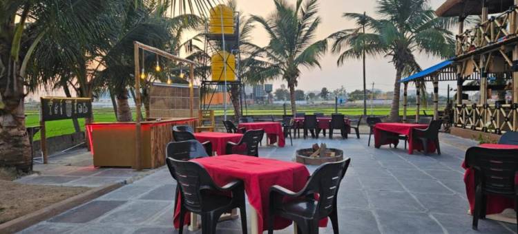 岩石上的国王(The King On The Rocks)图片