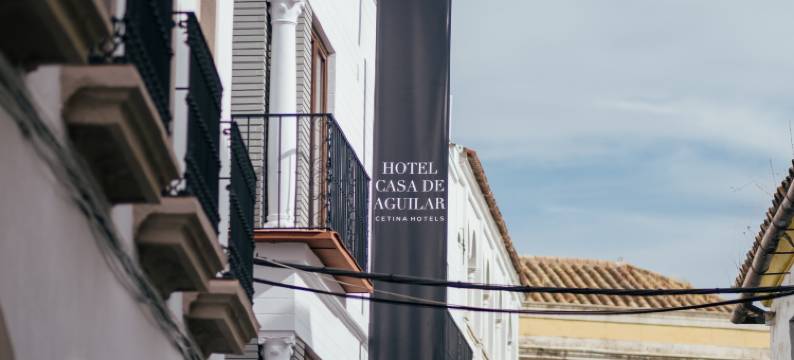 塞蒂纳阿吉拉尔之家酒店(Hotel Cetina Casa de Aguilar)图片