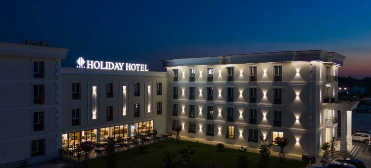 假日酒店(Holiday Hotel)图片